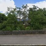 Tierhilfe Kelheim Hunde – Kelheim