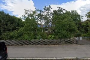 Tierhilfe Kelheim Hunde – Kelheim