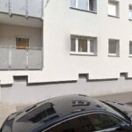 Katzenhilfe in und um Würzburg – Mainfränkischer Tierschutz e. V. – Würzburg