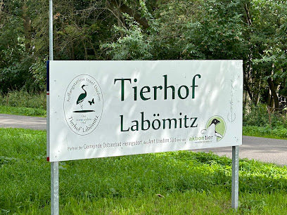 Tierhof Labömitz e.V. - Benz 1 AF1QipMBLxuts3aaHTS9PEllr0eZd4GseK7kIAn3bmFCw408 h306 k no