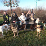 Ein Herz fuer Hundekinder e.V. – Augsburg