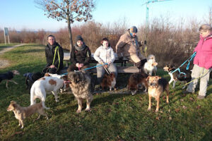 Ein Herz fuer Hundekinder e.V. – Augsburg