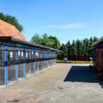 Tierschutzverein Friesoythe u. Umgebung e.V. Tierheim Sedelsberg – Saterland