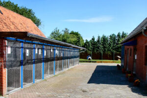 Tierschutzverein Friesoythe u. Umgebung e.V. Tierheim Sedelsberg - Saterland 5 Tierschutzverein Friesoythe u. Umgebung e.V. Tierheim Sedelsberg – Saterland
