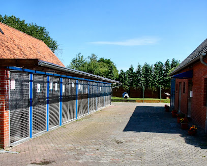 Tierschutzverein Friesoythe u. Umgebung e.V. Tierheim Sedelsberg - Saterland 1 AF1QipMQDTaLG1T 6P kkLZYQ0vID9A0nWThmikl0M5Dw408 h327 k no