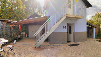 Hundehaus Bad Windsheim - Tierheim - Bad Windsheim 1 AF1QipMkdRpAQTD8kVLmBldeOQ i7y9txHa2 U8dPA3Rw426 h240 k no