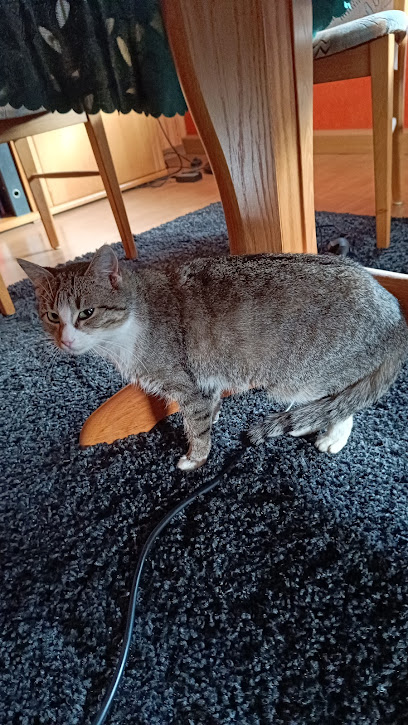 Eifeltierheim Altrich - Altrich 1 AF1QipN8q6Dlv13pZO1bdDgYxSdYhAzRgDqpSSrErUMOw408 h725 k no