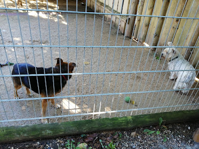 Tierheim Horka - Horka 1 AF1QipNLSQhOpnlUwXPLlhHr5xNEJwpJOKwnpLZAl5cgw408 h306 k no