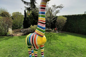 Tierheim Elmshorn – Elmshorn