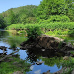 Tierheim Solingen – Solingen