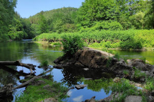 Tierheim Solingen – Solingen