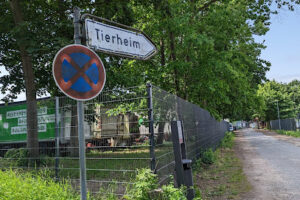 Tierschutz Geesthacht und Umgebung e. V – Geesthacht