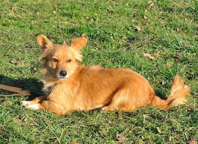 AF1QipODY5JCg62 FpamU1Z7UTh7htcYWlvsrYcmsxzDw408 h295 k no