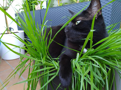 AF1QipOE1iD6biBfqU9PGBk9aaddrkkZGuLsf0cpCwA8w408 h306 k no