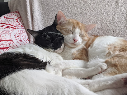 AF1QipOGs6Pt cy2oyNTAhrNKfotALVGF9pFcxrWuS61w408 h306 k no