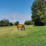 Westerweide – Fehmarn