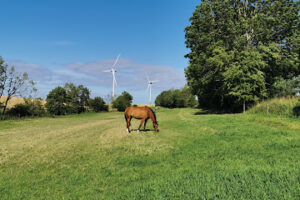 Westerweide – Fehmarn