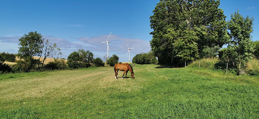 AF1QipOI4i2IOdmKO6EEzztLCliZBK68aBoSdLj1htuvw521 h240 k no