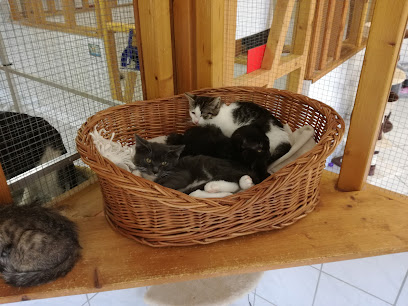 AF1QipObxnsAczlcywr6N8 AqB5mueZVgKFlYmcM73Fnw408 h306 k no