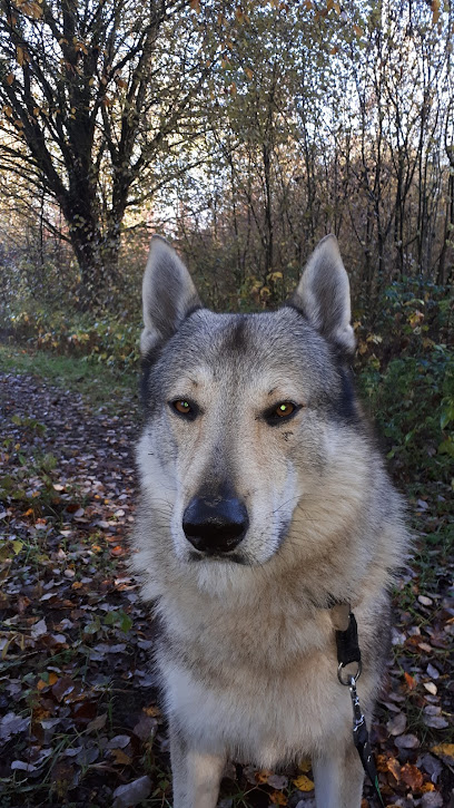 AF1QipOddCP2PWmue9gB0TEotx6Svja1EZJv1Z Qd9vgw408 h725 k no