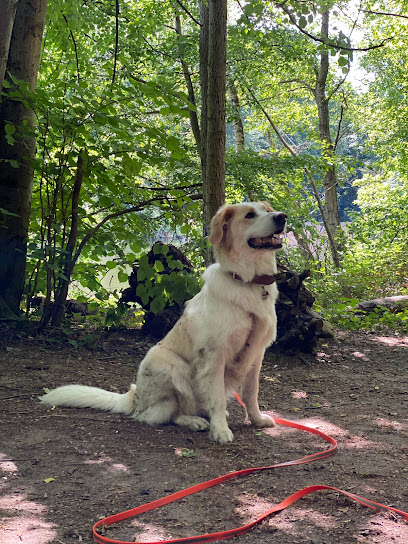 Tierheim Hochtaunus e.V. - Oberursel (Taunus) 1 AF1QipOpAIU PJlKwhddgr8I 00P8sXpp0N4BoimwcTpw408 h544 k no