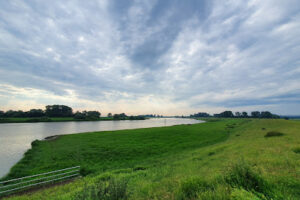 Tierschutz Rheiderland e.V. - Weener 19 Tierschutz Rheiderland e.V. – Weener
