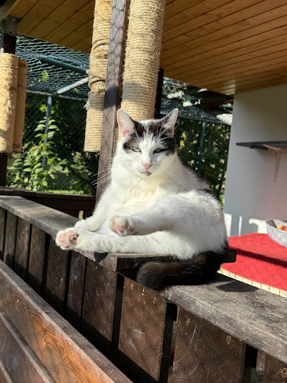 AF1QipPF f9ethxVr59RjiUWeAOxmRyYROAd6GrUAWxhw408 h544 k no