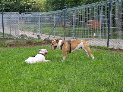 Ein Heim für Tiere e. V. - Felsberg 1 AF1QipPMMrQ84 VGBR9 3NK iZn88gPjbSZlSPVM2an4w408 h306 k no