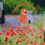 Tierheim Satuelle – Haldensleben