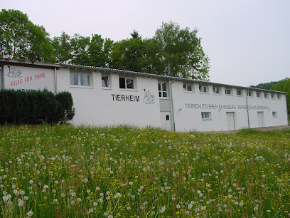 Tierheim Berg - Berg 1 AF1QipPZAe5CSK8tcabrpqjET71X2WqR81lOM7ZKCMMVw408 h306 k no