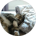 Lillyfee Leben