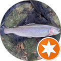 Fairtrout Fishing