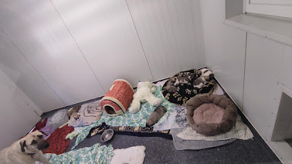 Tierschutzverein Schwandorf e.V - Schwandorf 1 AF1QipM3ViSTbetPgs0gRxsj9tvjiqUUAHFPI5JqsR9xw426 h240 k no