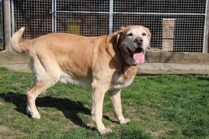 Tierheim Albert Schweitzer Freiberg - Freiberg 1 AF1QipMbTtdJRXH4emps3fgTaOBcPr8UDtw3E45rgBMw408 h272 k no