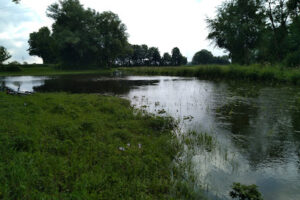 Tierheim Hamlar – Asbach-Bäumenheim