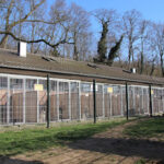 Tierschutzverein Düsseldorf und Umgebung e.V. – Düsseldorf