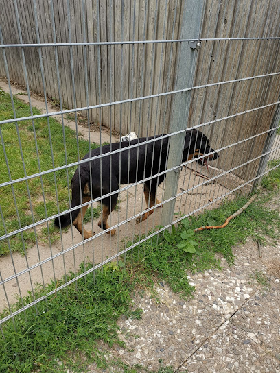 Tierheim Weidefeld - Kappeln 1 AF1QipNWl0aeiL g9nJLhPhRxFVqXFnrQqqyrEdgQR3iw408 h544 k no