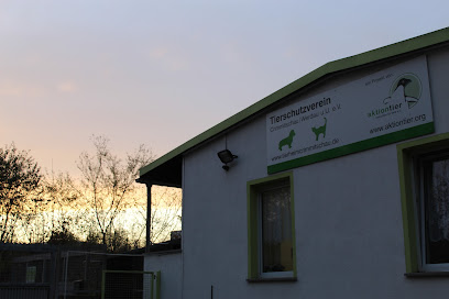 aktion tier Tierheim Crimmitschau | TSV Crimmitschau Werdau u.U. e.V - Crimmitschau 1 AF1QipNWmsoqqgisnEz7kbB8Dpxj5G1O5vhLJ6omH6Lmw408 h272 k no
