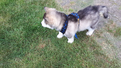 AF1QipO h mFdDoT7qMGDp te0EdsPFSfZ5JuAbeatZSw426 h240 k no