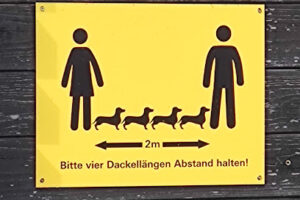 Tierheim Trier shop-home4pets – Trier