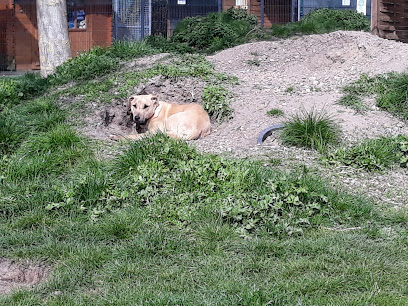 AF1QipOBMinVk5h25VnUETljPyntnDSFQRUOBauwbH6sw408 h306 k no