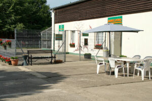 Tierheim- und Tierschutzfreunde Schwerin e.V. – Schwerin