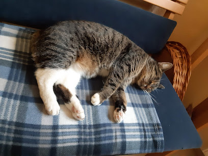 AF1QipOCtPSfimGnK0bbR8imDVOMq0dAa9WRyYJEYP1ow408 h306 k no