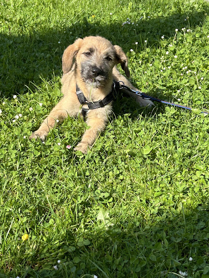 AF1QipOEHrjUTzASgwolWudBTn4V0IaqUfw4ugHkefzew408 h544 k no