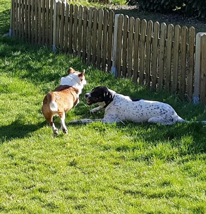 AF1QipOEW 1pBIGjPRCZcwoEmGEtyaYbH cxkmHgQn9Vw408 h423 k no