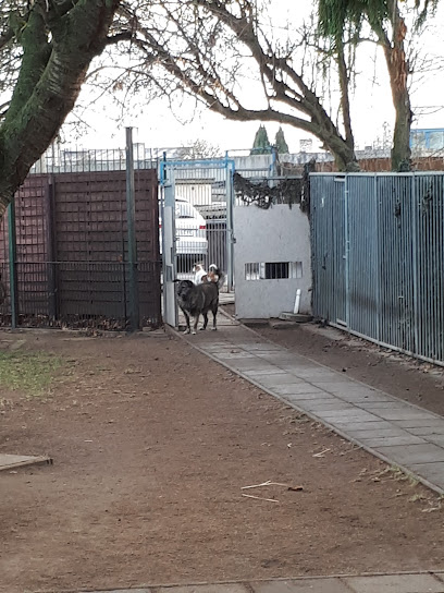 AF1QipOGngoz1GuBQ5BPm3Chy9FkgjVAu9 0 Pk1n9u w408 h544 k no