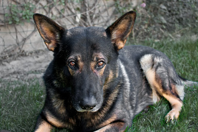 AF1QipOH9tj4CtFVAPH1fX2t17DvBgxpIAcbmnvr8JSAw408 h272 k no