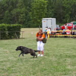 Tierheim Kronach – Marktrodach