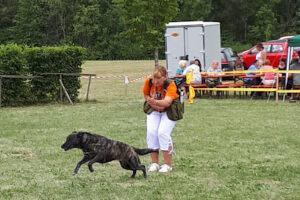Tierheim Kronach – Marktrodach