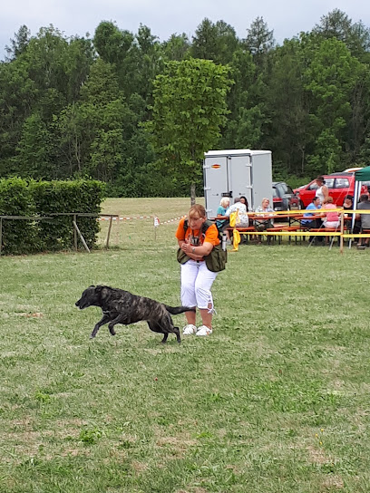 AF1QipOcMRS6IfN 2aPuXUM AEKXkS7R3JhPaXbhlpHsw408 h544 k no